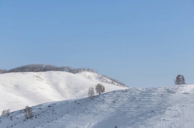 Güzel, kış dağ manzarası açık, mavi gökyüzü, ağaçlar ve Altay bölgesi yoldan gidiyor arka plan üzerinde