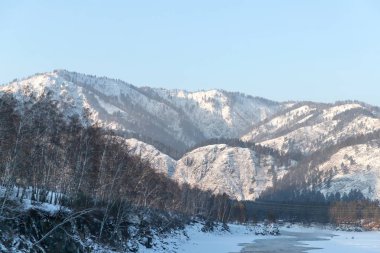 Katun nehirde buz kaplı güzel dağlar karlı zirveleri ile ve çam ormanı ile açık mavi gökyüzü arka plan