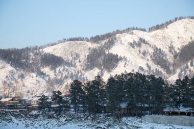 Katun nehirde buz kaplı güzel dağlar karlı zirveleri ile ve çam ormanı ile açık mavi gökyüzü arka plan