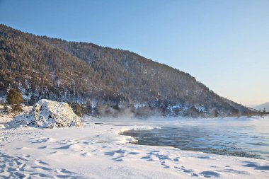 Katun Nehri'nin kıyısında çam ormanı ile kaplı dağları arka plan üzerinde