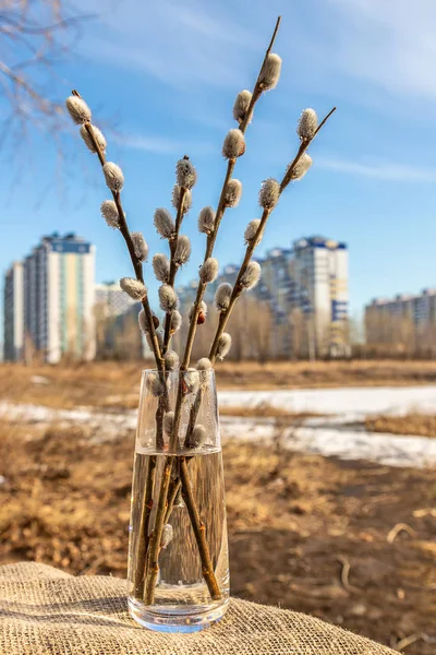 Yüksek binalar, mavi gökyüzü ve buz ve kar kaplı göl arka planda söğüt dalları buket
