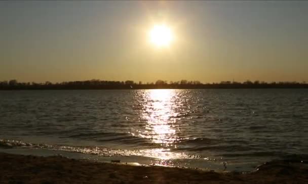 Zachód Słońca Brzegu Rzeki — Wideo stockowe