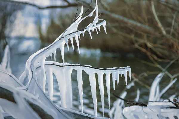 Eiszapfen Auf Dem Hintergrund Von Bäumen Und Blauem Himmel — Stockfoto