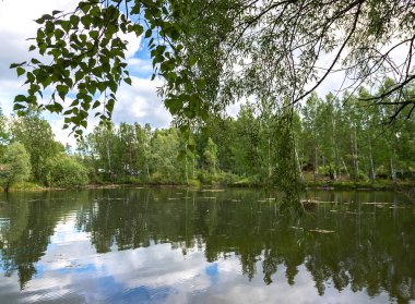 Mavi gökyüzüne, beyaz bulutlara ve yüksek huş ağacına karşı masmavi göl