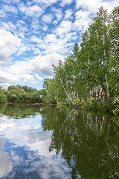Mavi gökyüzüne, beyaz bulutlara ve yüksek huş ağacına karşı masmavi göl