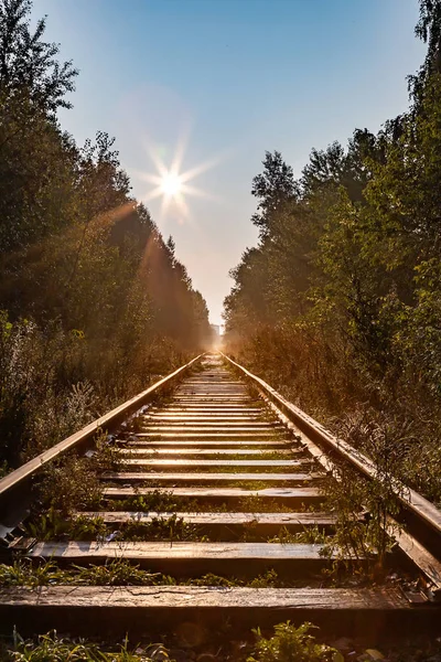 Railway track in the autumn forest against the bright sun and blue sky with clouds