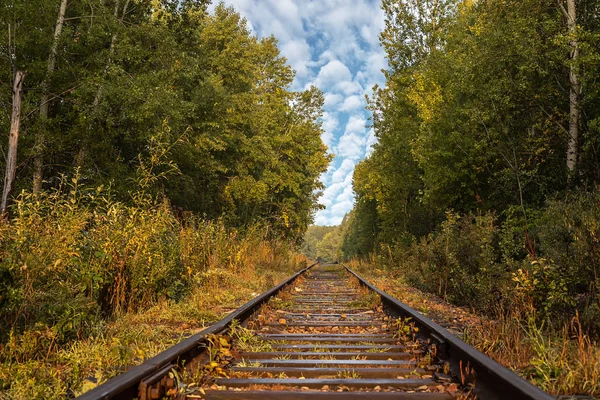 Železniční Trať Podzimním Lese Proti Jasném Slunci Modré Obloze Mraky — Stock fotografie