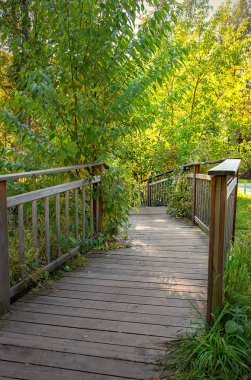 Sonbahar ormanında ahşap köprü