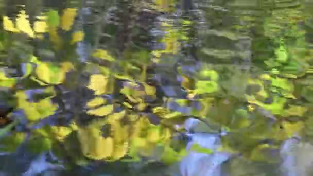 Brilho Bonito Água Reflexão Árvores Outono Fluxo Rio — Vídeo de Stock