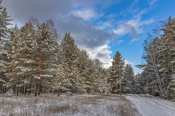 Floresta Inverno Flocos Neve Branca Com Estrada Indo Para Distância — Fotografia de Stock