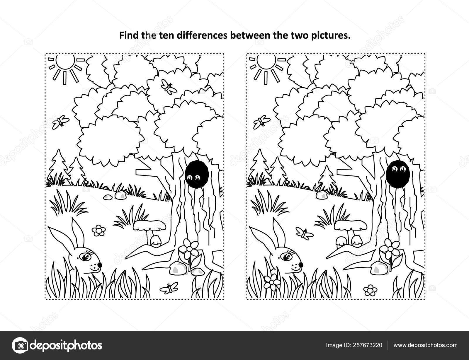 Find Ten Differences Picture Puzzle Coloring Page Summer Spring Autumn Stock Vector C Ratselmeister 257673220