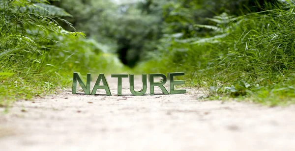 ワード 森の中の自然マクロ写真 — ストック写真