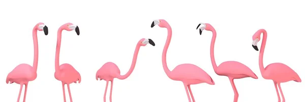 Diferentes Flamingos Sobre Fundo Branco Renderização — Fotografia de Stock