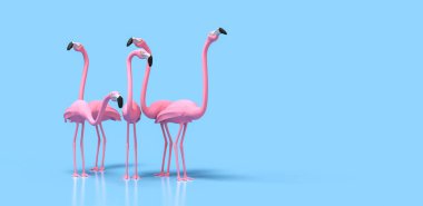 Mavi zemin üzerinde pembe flamingo grubu 3D görüntüleme