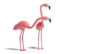 Beyaz arkaplandaki birkaç flamingo 3D görüntüleme