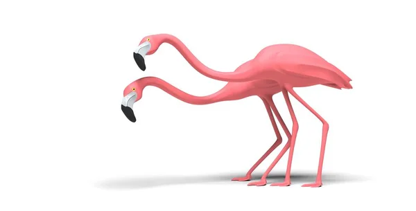 Пара Фламинго Белом Фоне Рендеринг — стоковое фото