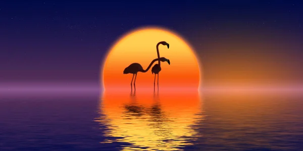 Alacakaranlıkta Bir Çift Pembe Flamingo Görüntüleme — Stok fotoğraf