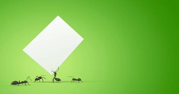 Ants Carrying Sheet Paper Rendering — Stock Photo, Image