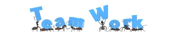 Έννοια Ομαδική Εργασία Μυρμήγκια Απόδοση Εικόνα Αρχείου