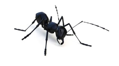 Beyaz arkaplandaki karınca 3B görüntüleme