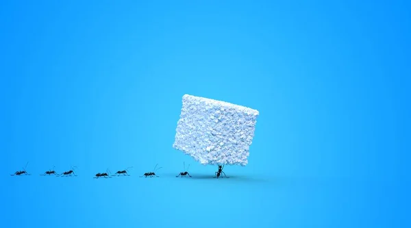 Μυρμήγκια Που Μεταφέρουν Ζάχαρη Εικόνα Αρχείου