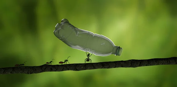 Formica Gettare Una Bottiglia Plastica Lontano Dalla Natura Rendering Immagine Stock