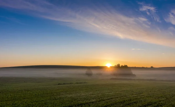 Nascer do sol sobre o campo coberto com nevoeiro . — Fotografia de Stock