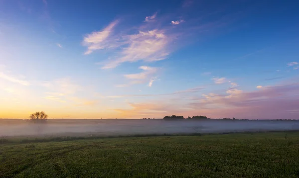 Sonnenaufgang über dem nebelverhangenen Feld. — Stockfoto