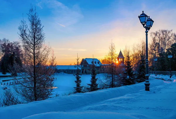 Winter Zonsopgang Boven Een Besneeuwd Meer Het Park — Stockfoto