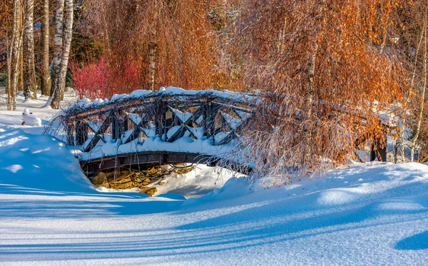Pont Bois Dans Parc Hivernal Enneigé Bord Lac — Photo