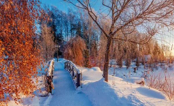 Wooden Bridge Snowy Winter Park Lake — Stock Photo, Image