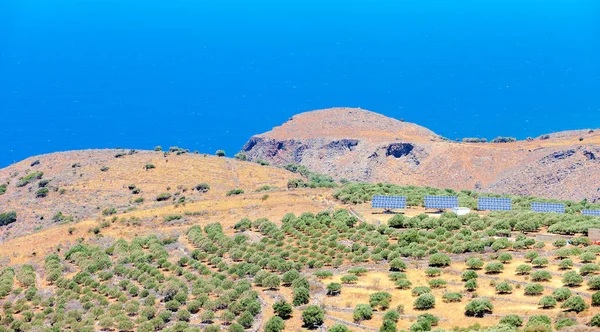 A napelemek a olajfaligetben. Crete. Görögország — Stock Fotó