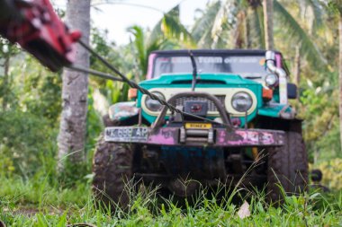 Bali. Endonezya - 7 Mart 2013 cipin içinde tropikal orman.