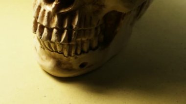 Ölü bir insan bir insan kafatası analiz