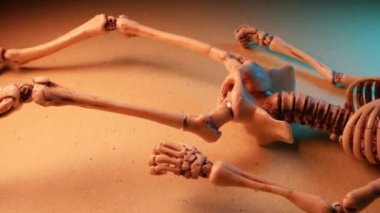 Minyatür İnsan İskelet Modeli Yaklaş