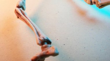 Minyatür İnsan İskelet Modeli Yaklaş