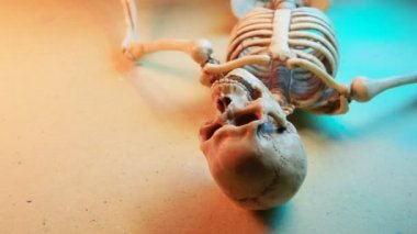 Minyatür İnsan İskelet Modeli Yaklaş