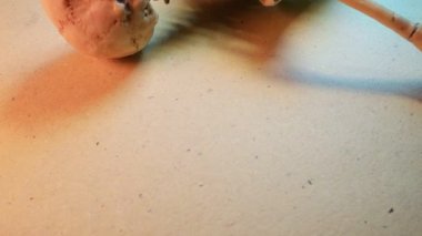 Minyatür İnsan İskelet Modeli Yaklaş