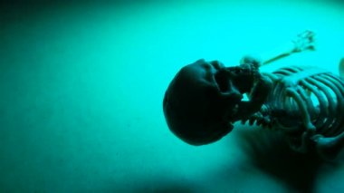 Minyatür İnsan İskelet Modeli Yaklaş