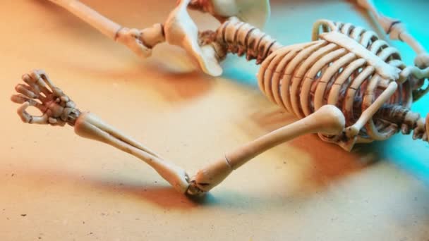 Miniature Human Skeleton Model Close — Stock Video