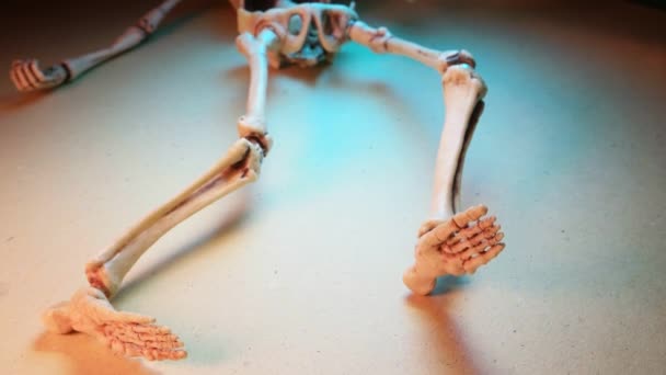 Miniatuur Menselijk Skelet Model Close — Stockvideo