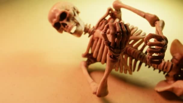 Миниатюрная Модель Человеческого Скелета Закрывается — стоковое видео