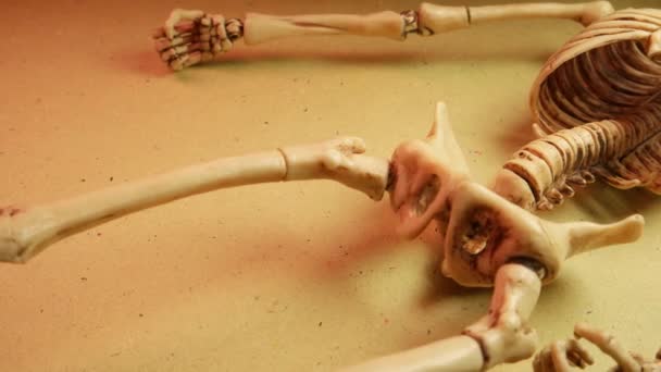 Miniaturowy Szkielet Ludzki Model Close — Wideo stockowe