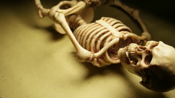 Miniatur Modell Menschlicher Skelette Aus Nächster Nähe — Stockvideo