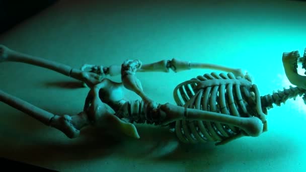 Miniatyr Mänskliga Skelett Modell Närbild — Stockvideo