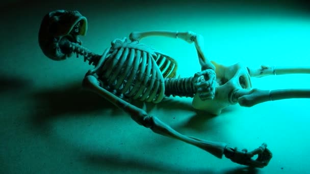 Miniature Human Skeleton Model Close — Stock Video