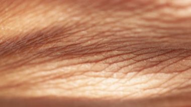 kıllı bir deri yakın çekim