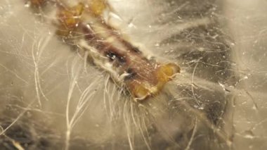 Makroyu kapatın atış petrol ve organik maddeler taşıma