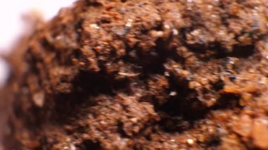 Toprak ve mineral örnekleri bir laboratuvarda analiz