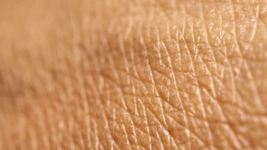 İnsan deri dokusuna yakın çekim 